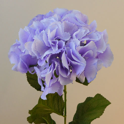 Galaxy Hydrangea Lavender Purple 71cm - H028 F4