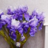 Large Flag Iris and Bud Purple 79cm - IR006 F1