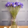 Artificial Iris Blue Purple 69cm - IR005 J2