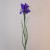 Artificial Iris Blue Purple 69cm - IR005 J2
