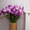 Large Flag Iris and Bud Pink 90cm - IR009 EE1 Large Flag Iris and Bud Pink 90cm - IR009 EE1