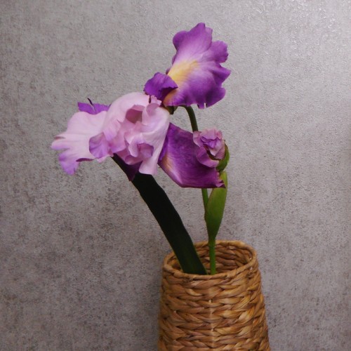 Large Flag Iris and Bud Pink 90cm - IR009 EE1 Large Flag Iris and Bud Pink 90cm - IR009 EE1