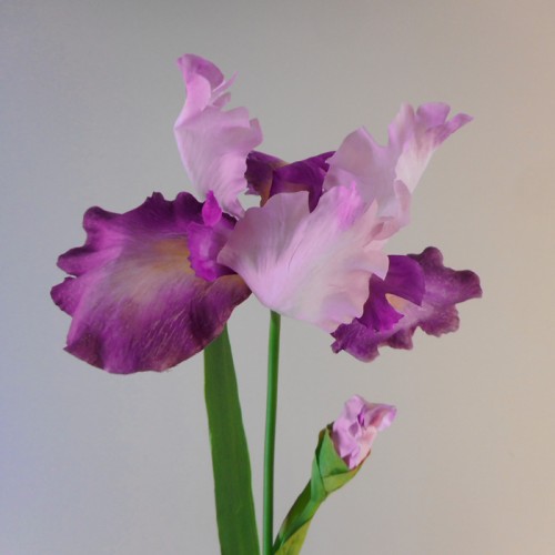 Large Flag Iris and Bud Pink 90cm - IR009 EE1 Large Flag Iris and Bud Pink 90cm - IR009 EE1