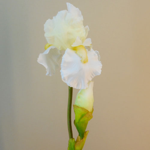 Large Flag Iris and Bud White 79cm - IR003 B1 Large Flag Iris and Bud White 79cm - IR003 B1