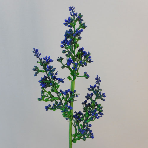 Lilac Buds Blue 58cm - L104 J2 Lilac Buds Blue 58cm - L104 J2