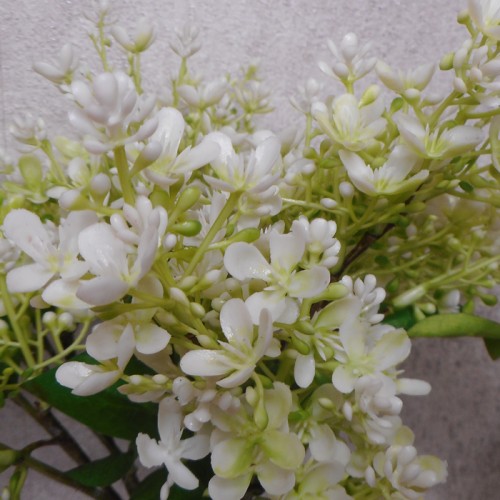 Short Stem Artificial Lilac Blossom Cream 37cm - L020 I3