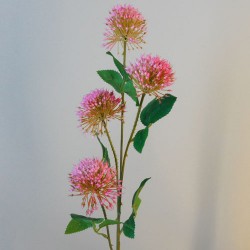 Fireball Lily Pink 73cm - L092 AA3