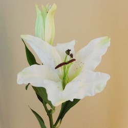 Rydal Artificial Lilies White 72cm - L032