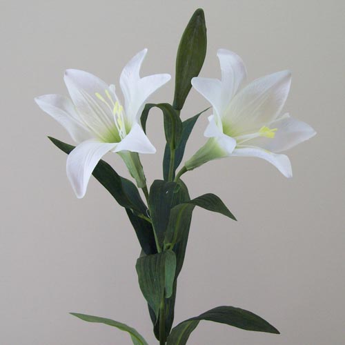 Silk Easter Lilies (Lilium Longiflorum) 80cm - L113 