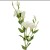 Artificial Lisianthus Eustoma White 80cm - L158 