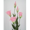 Artificial Lisianthus Pink 80cm - L017 H4 Artificial Lisianthus Pink 80cm - L017 H4