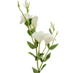 Artificial Eustoma Lisianthus Cream 80cm - L158 H1