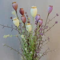 Meadow Flowers