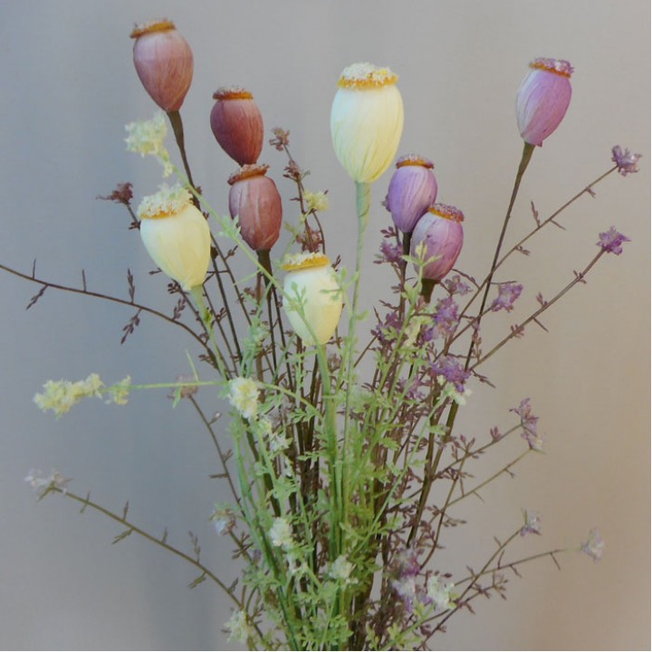 Meadow Flowers