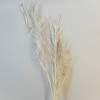 English Meadow Artificial Grasses Cream | Faux Dried - GRA028 FF3