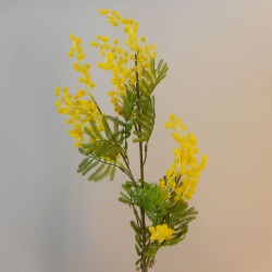 Artificial Mimosa Stem with Leaves 88cm - M022 I4