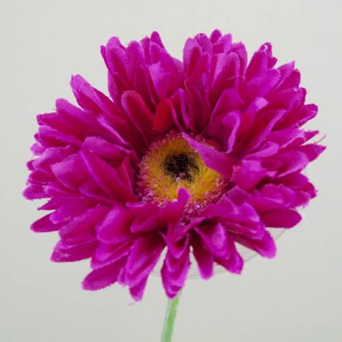 Silk Mini Gerbera Hot Pink 58cm - G065 F3