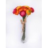 Mini Silk Ranunculus Posy Brights 25cm - R080 