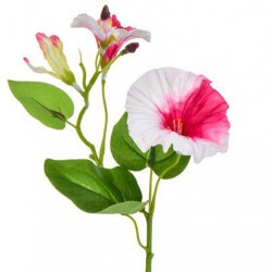Artificial Morning Glory Bindweed Vines Pink and White 25cm - M014 J2