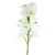 Artificial Cymbidium Orchid White 76cm - O110 J2