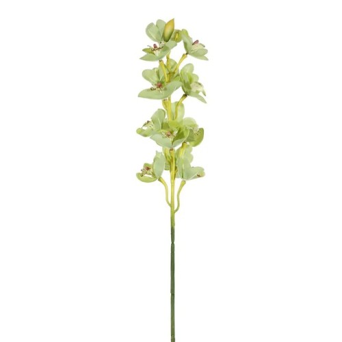 Artificial Cymbidium Orchid Green 76cm - O076 Artificial Cymbidium Orchid Green 76cm - O076