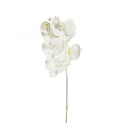 Artificial Orchids on White Stem 77cm - O020 J4
