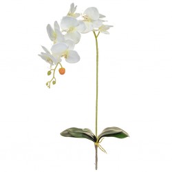 Artificial Phalaenopsis Orchids Plant White without Pot 96cm - O151 I4