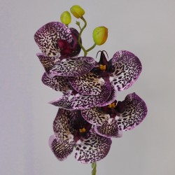 Artificial Phalaenopsis Orchid Burgundy 66cm - O008 LL4