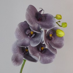 Artificial Phalaenopsis Orchid Lavender Grey 66cm - O003 LL4