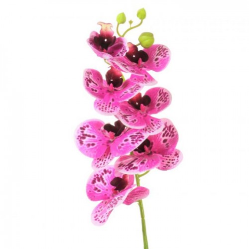 Artificial Phalaenopsis Orchid Pink with Burgundy Freckles 78cm - O004 