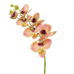 Artificial Phalaenopsis Orchid Fruit Salad 78cm - O010 LL4