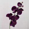 Real Touch Phalaenopsis Orchids Aubergine Purple 75cm - O085 