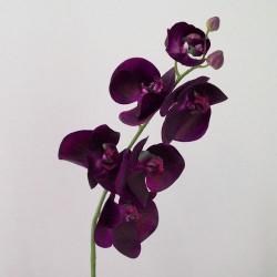 Real Touch Phalaenopsis Orchids Aubergine Purple 75cm - O085 I4