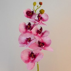 Artificial Phalaenopsis Orchid Two Tone Pink 78cm - O139 E1