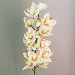 Artificial Cymbidium Cream 80cm - O096 LL4