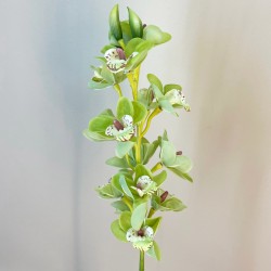 Real Touch Cymbidium Green 76cm - O097 KK1