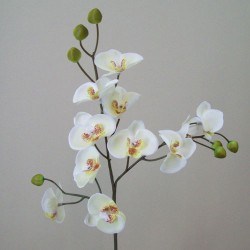 Mini Artificial Phalaenopsis Orchids Cream - O093 I4