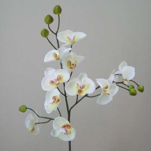 Mini Artificial Phalaenopsis Orchids Cream - O093 I4