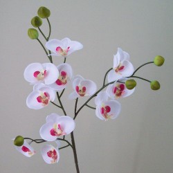 Mini Artificial Phalaenopsis Orchids White and Pink 57cm - O094 I2
