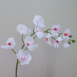 Real Touch Artificial Phalaenopsis Orchids White and Pink 102cm - O092 I1