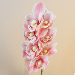 Real Touch Artificial Cymbidium Orchid Pink 70cm - O021 J1