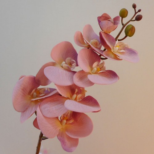 Real Touch Artificial Phalaenopsis Orchid Dusky Pink 99cm - O150 K4