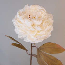 Antique Peony Cream 76cm | Faux Dried Flowers - P082 L4