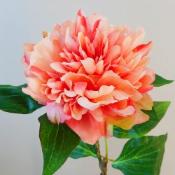 Large Peony Coral Peach 55cm - P238 L3