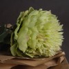 Artificial Peony Flowers Green 43cm - P108 GG2