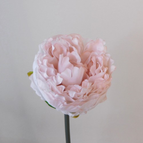 Artificial Peony Blush Pink Short Stem 35cm - P225 L2