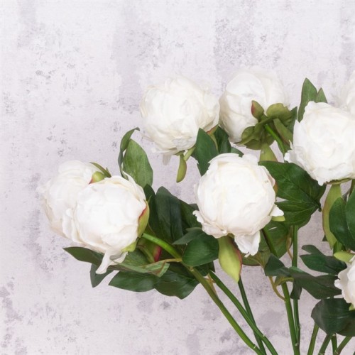 Artificial Peony Buds Large Cream 45cm - P152 L3