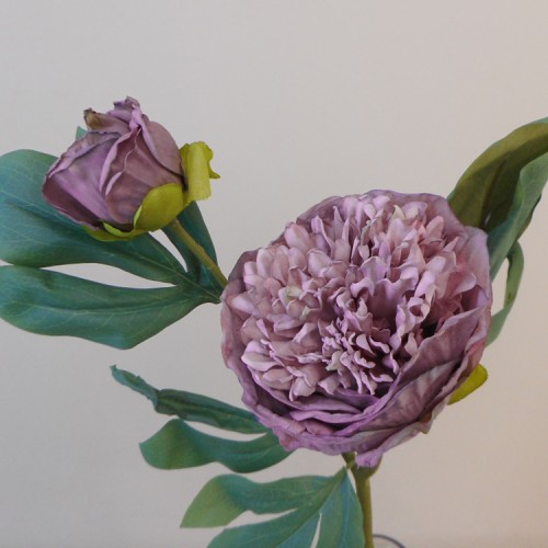 Antique Peony Mauve 50cm | Faux Dried Flowers - P028 U4