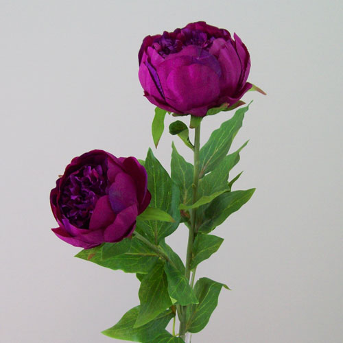 Double Peony Flowers Magenta 79cm - P145 K2