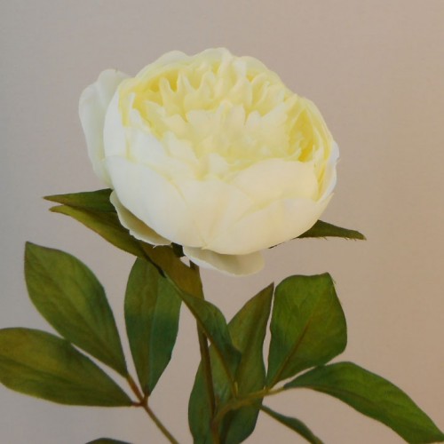 Peony Flowers Lemon 63cm - P117 M2